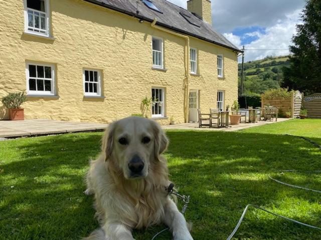 Ty Mawr Country Hotel & Restaurant Carmarthen Exterior photo